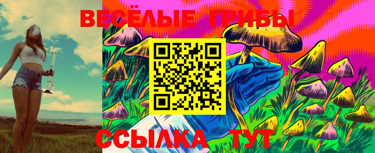 Галлюциногенные грибы мухоморы  Вход с VPN  Сухой Лог 